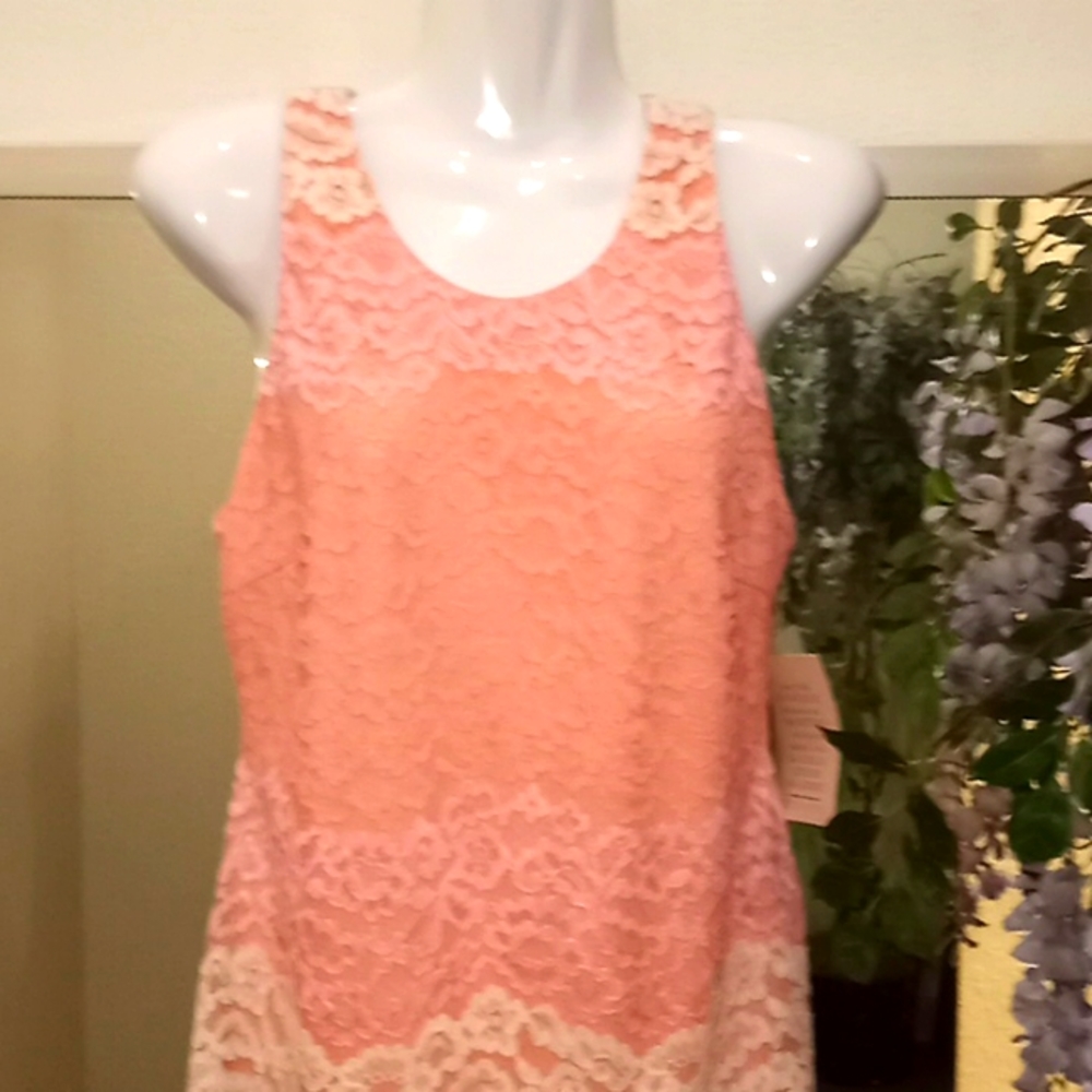 Alexia Admor Peaches & Cream Lace Sheath Dress